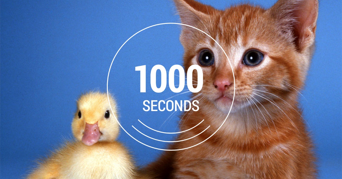 1000-seconds